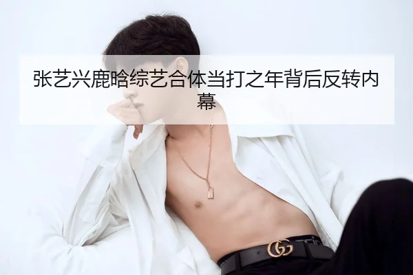 zhang-yi-xing-lu-han-zong-yi-he-ti-dang-da-zhi-nian-bei-hou-fan-zhuan-nei-mu-2-961.jpg