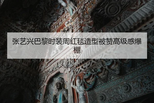 张艺兴巴黎时装周红毯造型被赞高级感爆棚